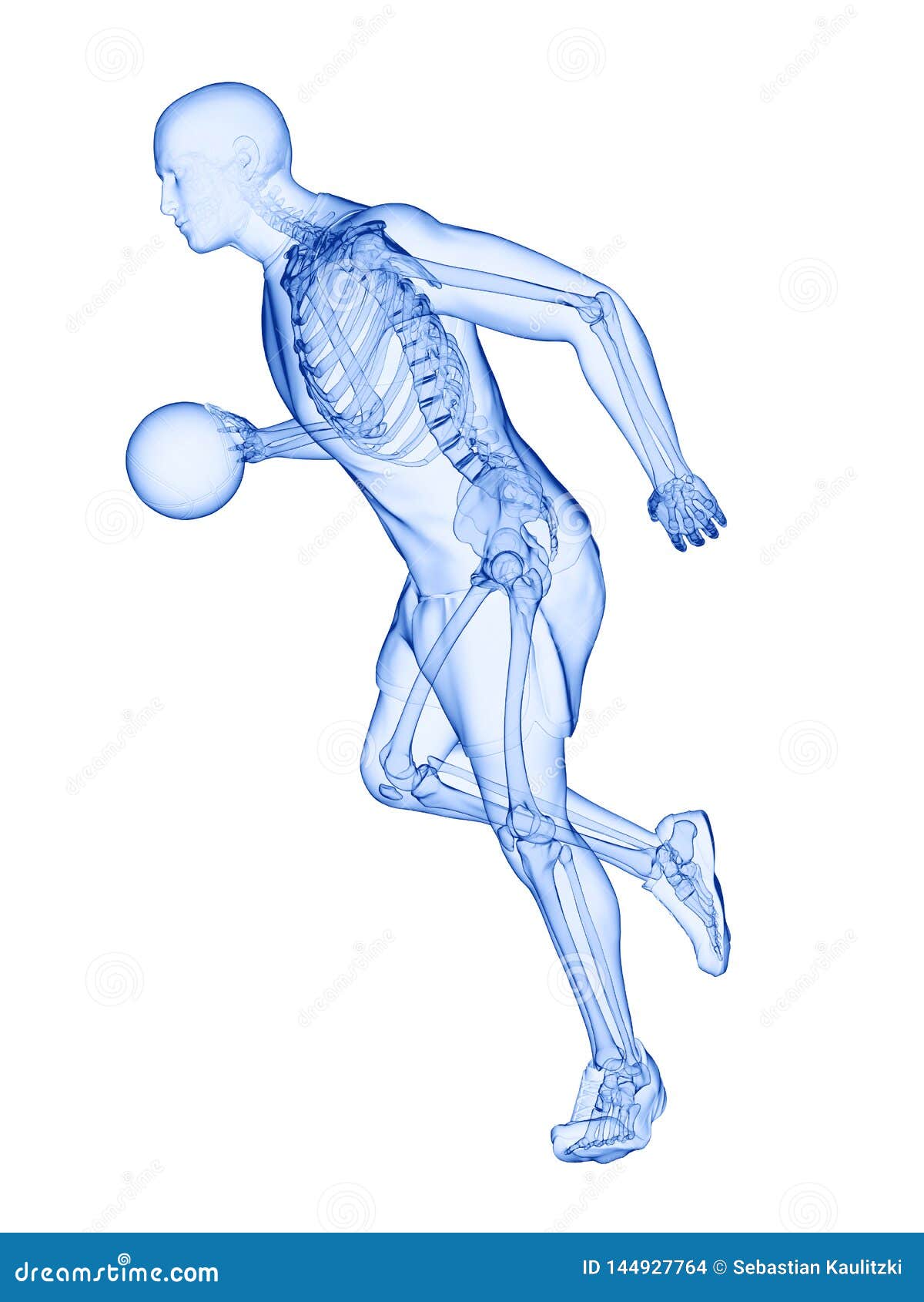 A Basketball Players Skeleton Stock Illustration - Illustration of body