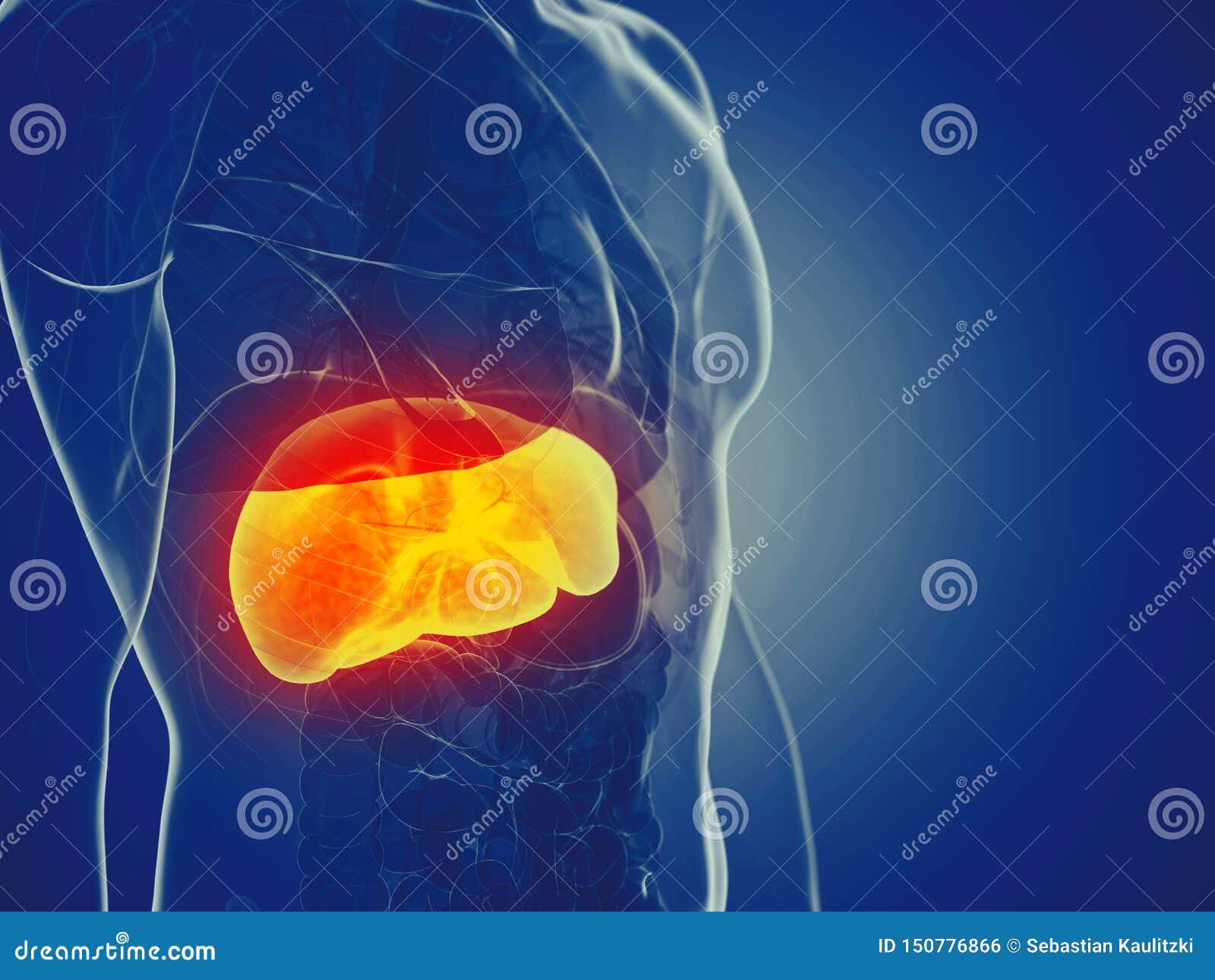A mans liver stock illustration. Illustration of anatomy - 150776866