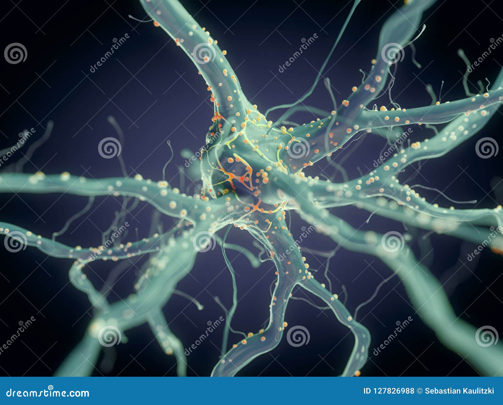 A nerve cell stock illustration. Illustration of receptor - 127826988