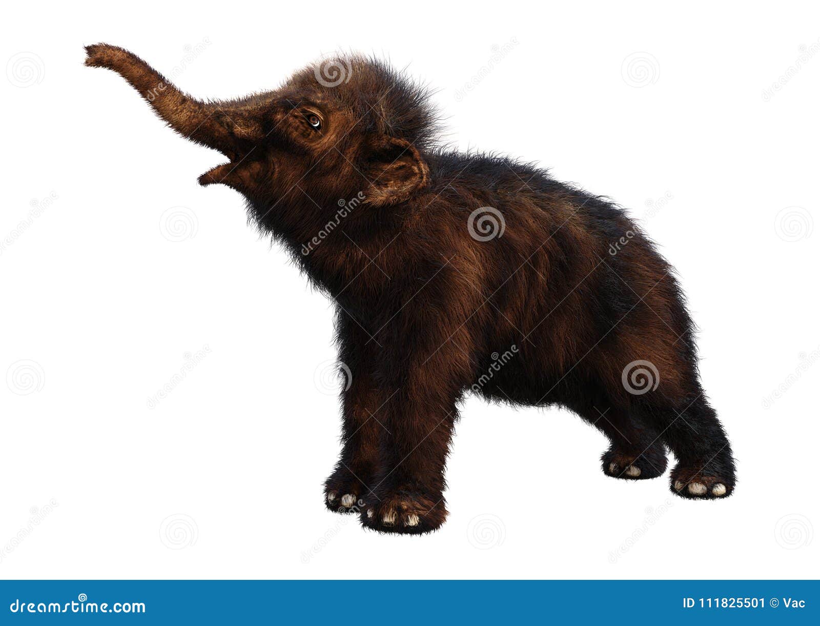 Recyclen Haven pint Baby Mammoth Stock Illustrations – 705 Baby Mammoth Stock Illustrations,  Vectors & Clipart - Dreamstime