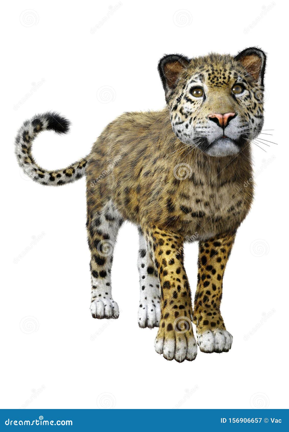  3D  Rendering Big Cat  Jaguar  On White Stock Illustration 