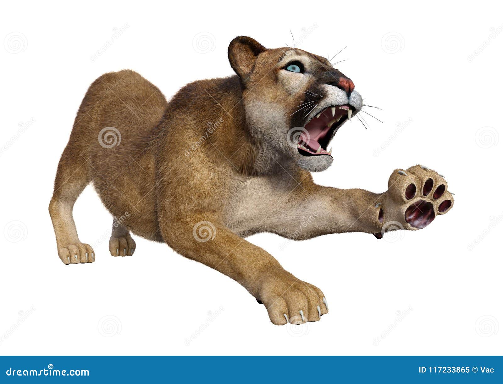 3D Rendering Big Cat Puma on White Stock Image - Image of isolated, puma:  117233865