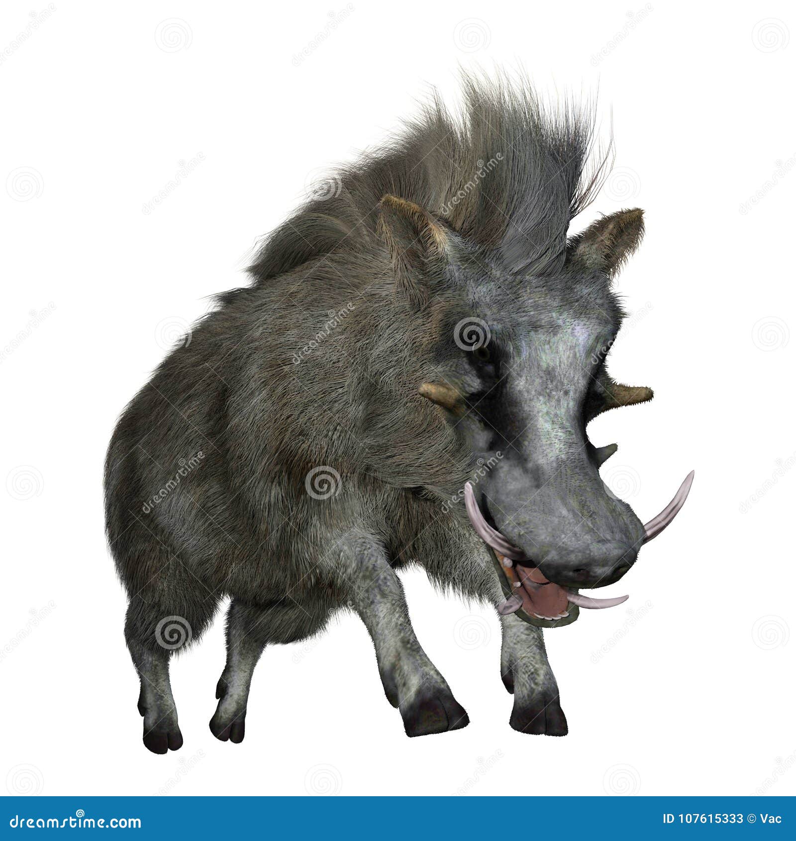 3d rendering common warthog on white