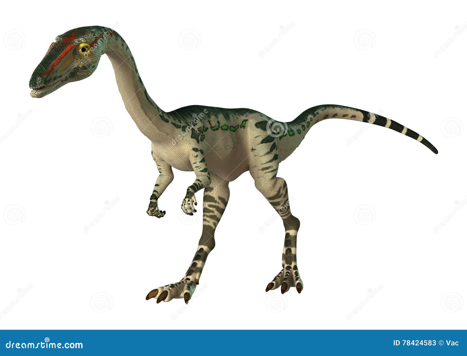 walking with dinosaurs coelophysis walking with dinosaurs coelophysis