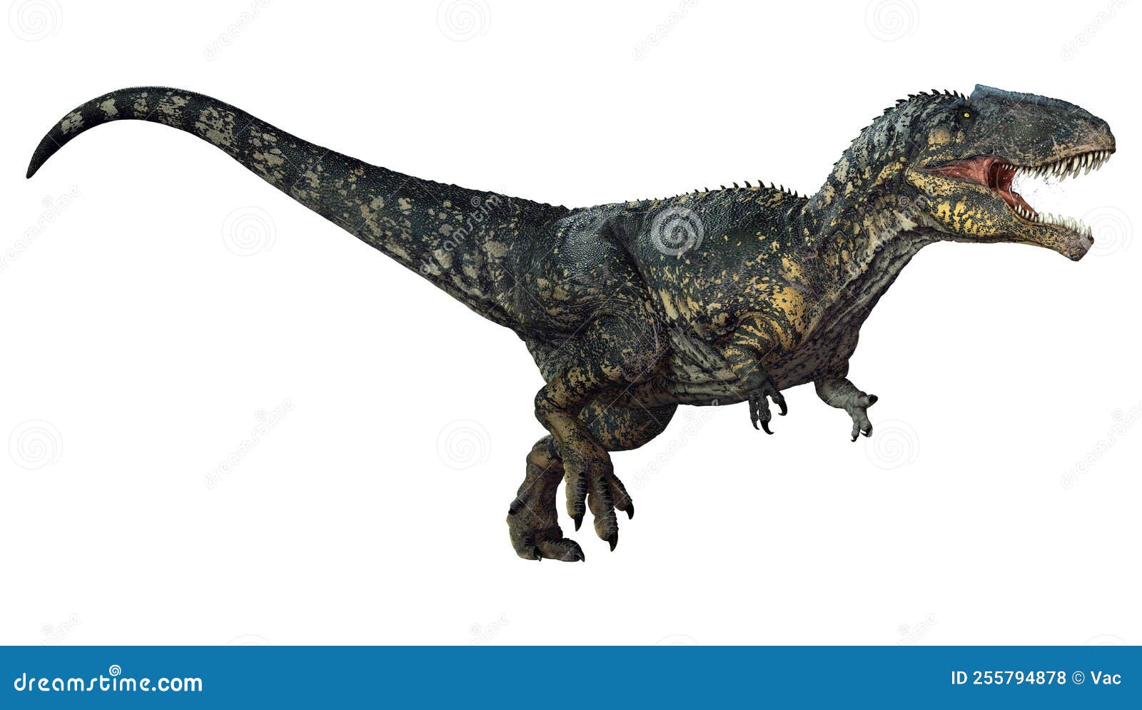 3d rendering dinosaur gigantosaurus on white