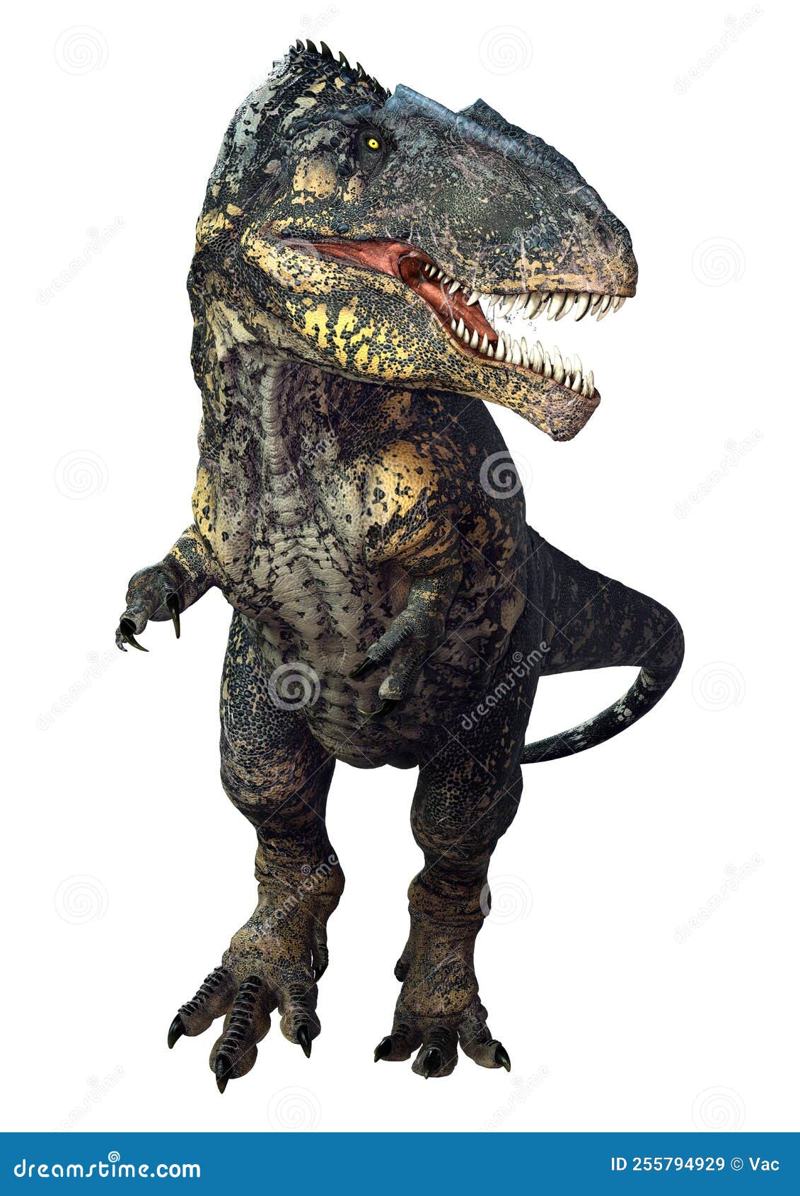 3d rendering dinosaur gigantosaurus on white