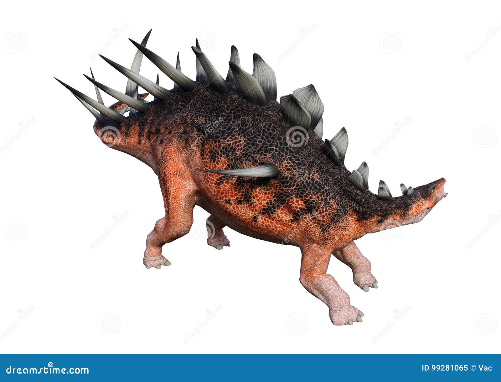 3d rendering dinosaur kentrosaurus on white