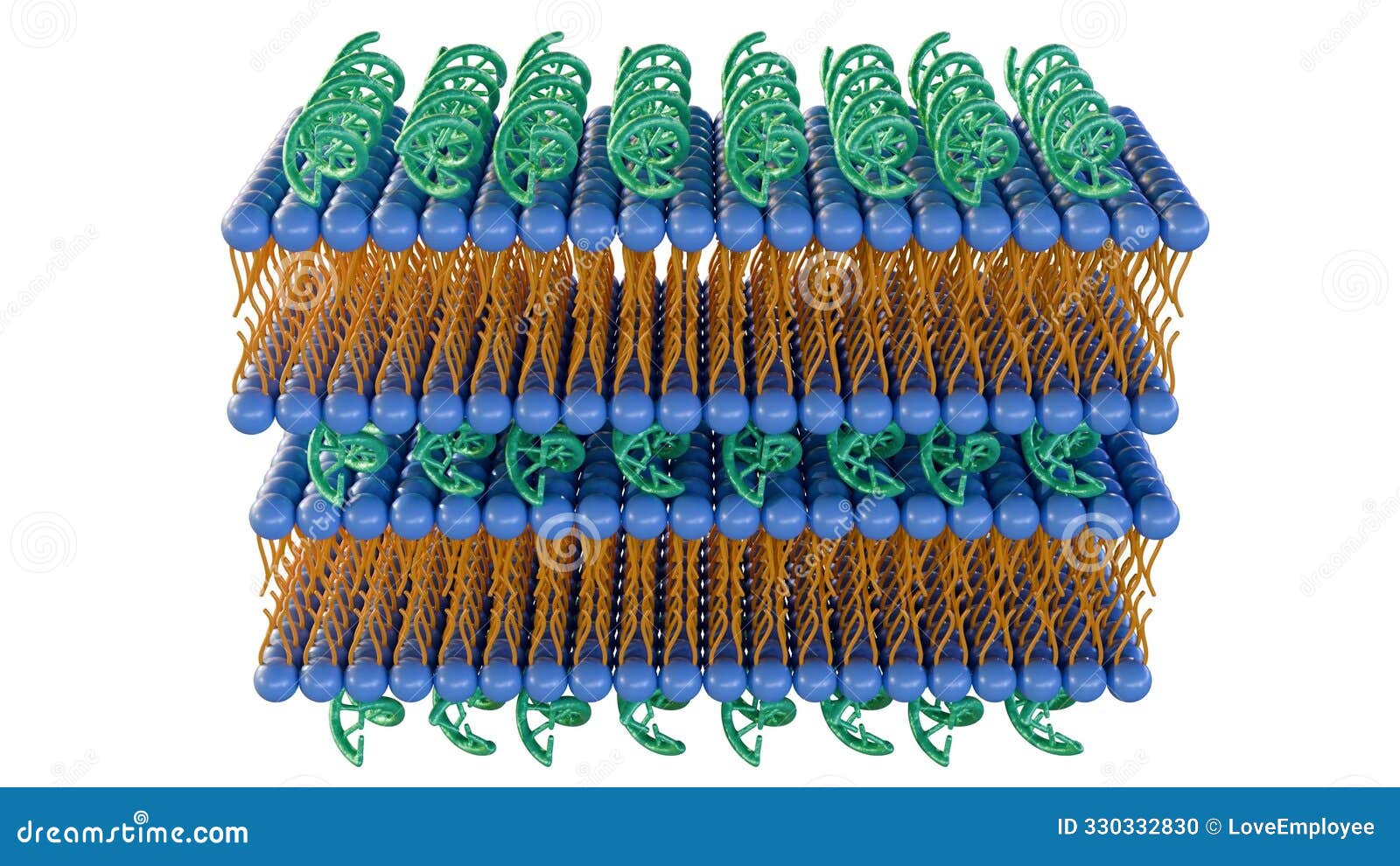 3d rendering of lipid-nucleic acid complexes