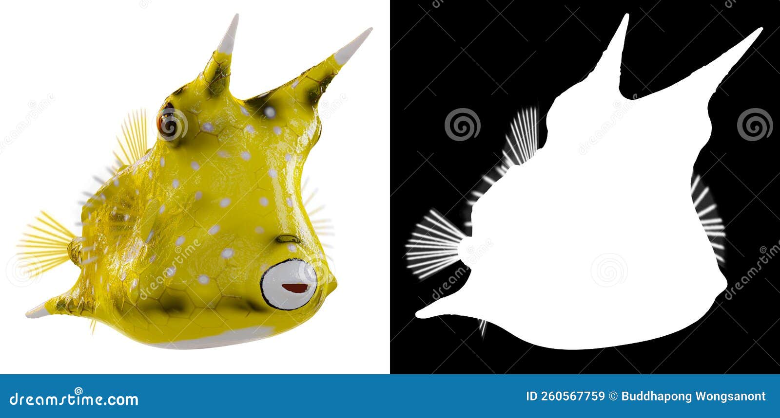 longhorn cowfish,  on white background with luma matte section