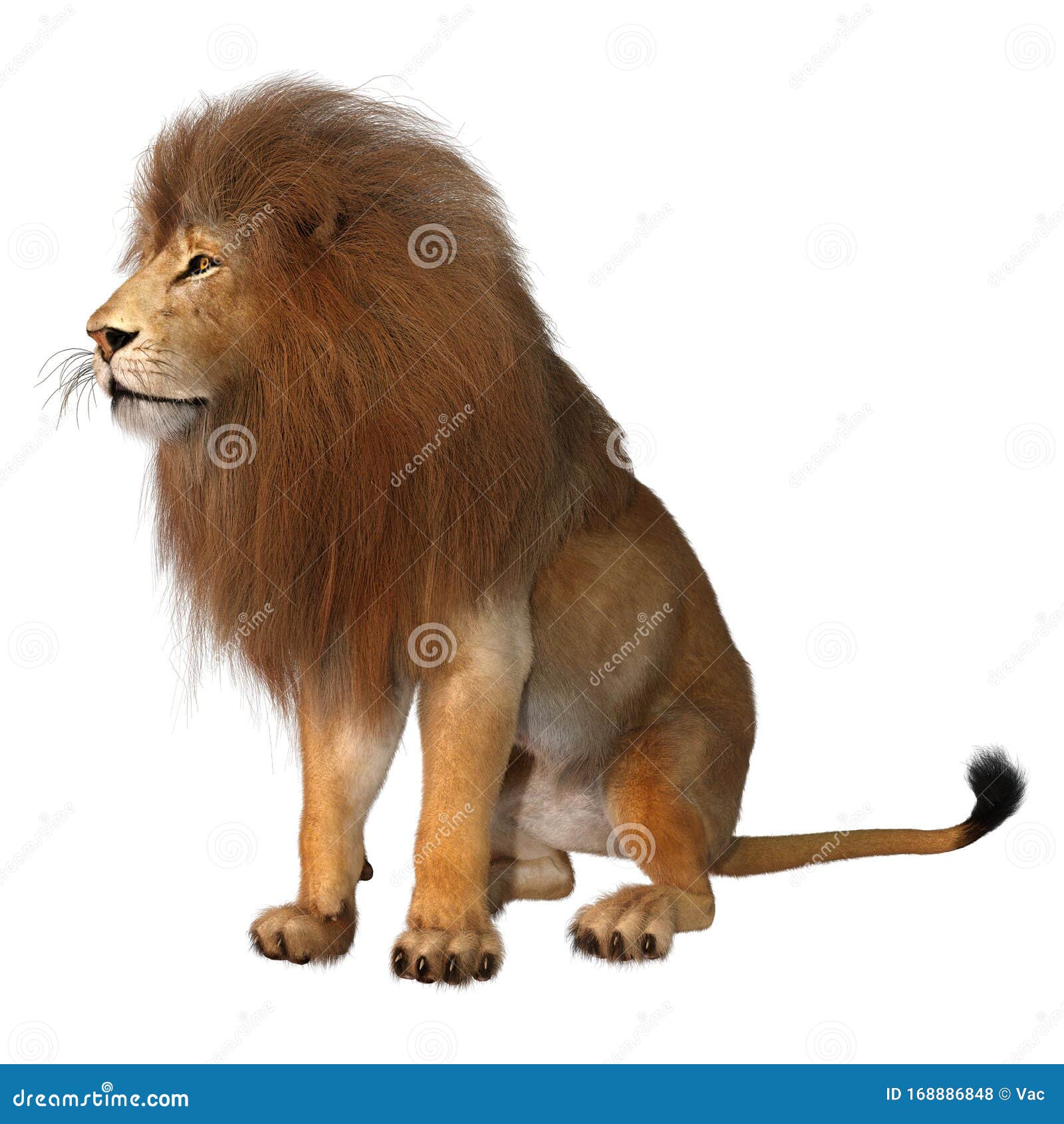 3D Rendering Male Lion on White Stock Illustration - Illustration of ...