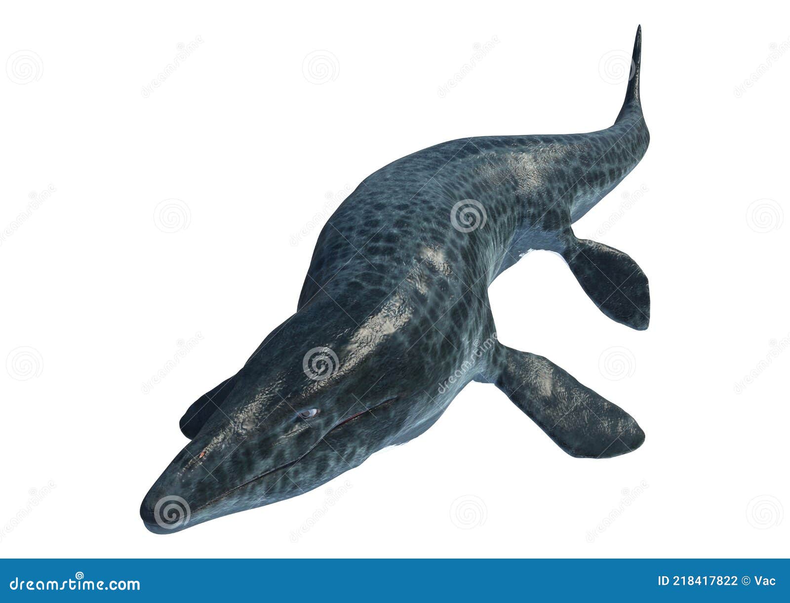 3d rendering mosasaur on white