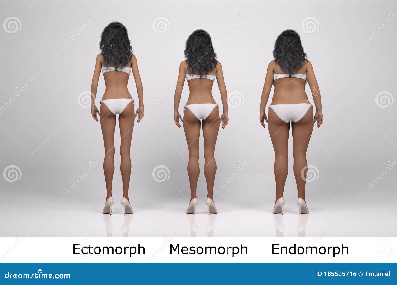 3D Render : the Portrait of Female Body Type : Ectomorph, Mesomorph,  Endomorph Back Side Stock Illustration - Illustration of glamour, figure:  185595716