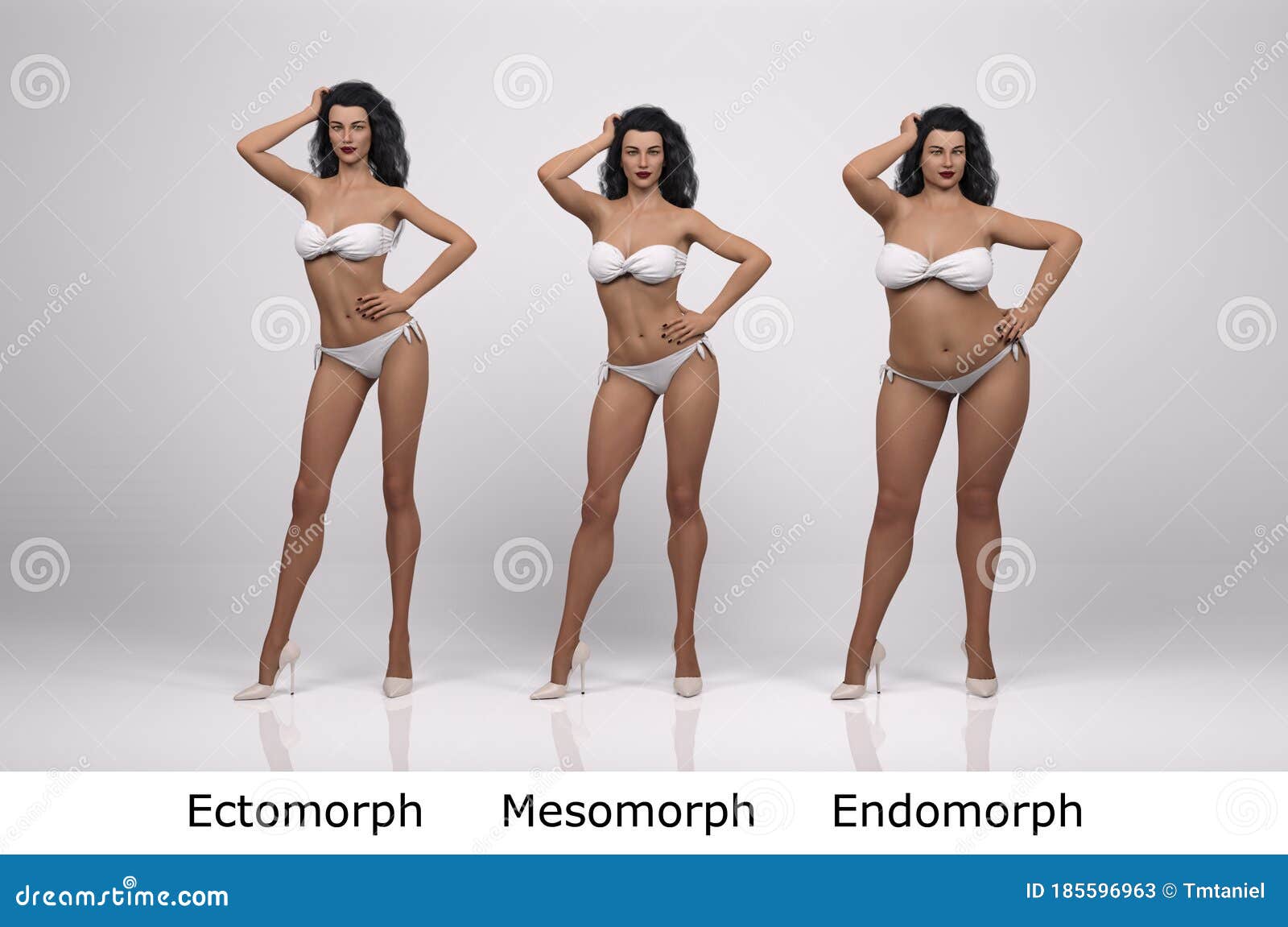 3D Render : the Portrait of Female Body Type : Ectomorph, Mesomorph,  Endomorph Stock Illustration - Illustration of character, render: 185596963