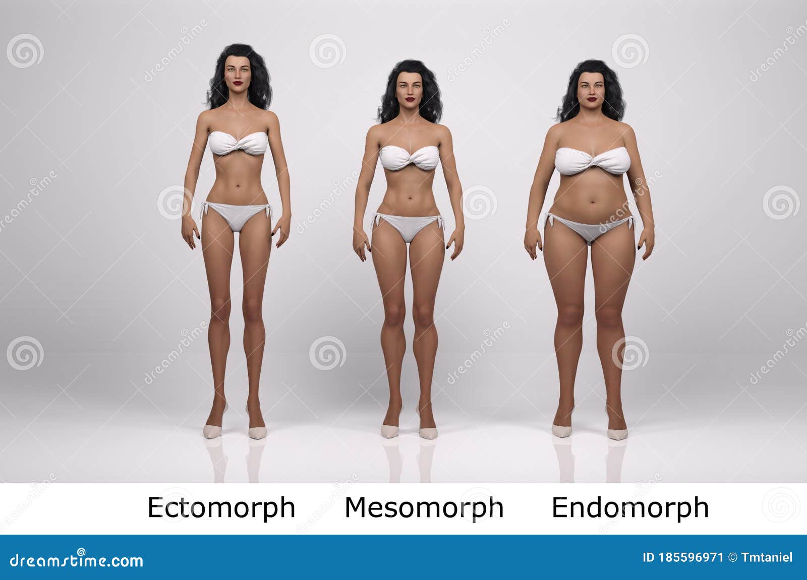 3D Render : the Portrait of Female Body Type : Ectomorph, Mesomorph,  Endomorph Stock Illustration - Illustration of human, glamour: 185596971