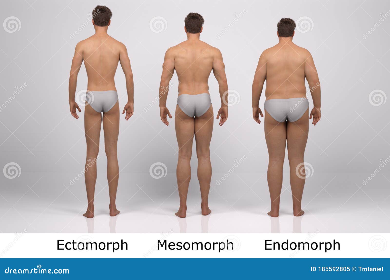 The Male Body Types: Ectomorph, Endomorph, Mesomorph