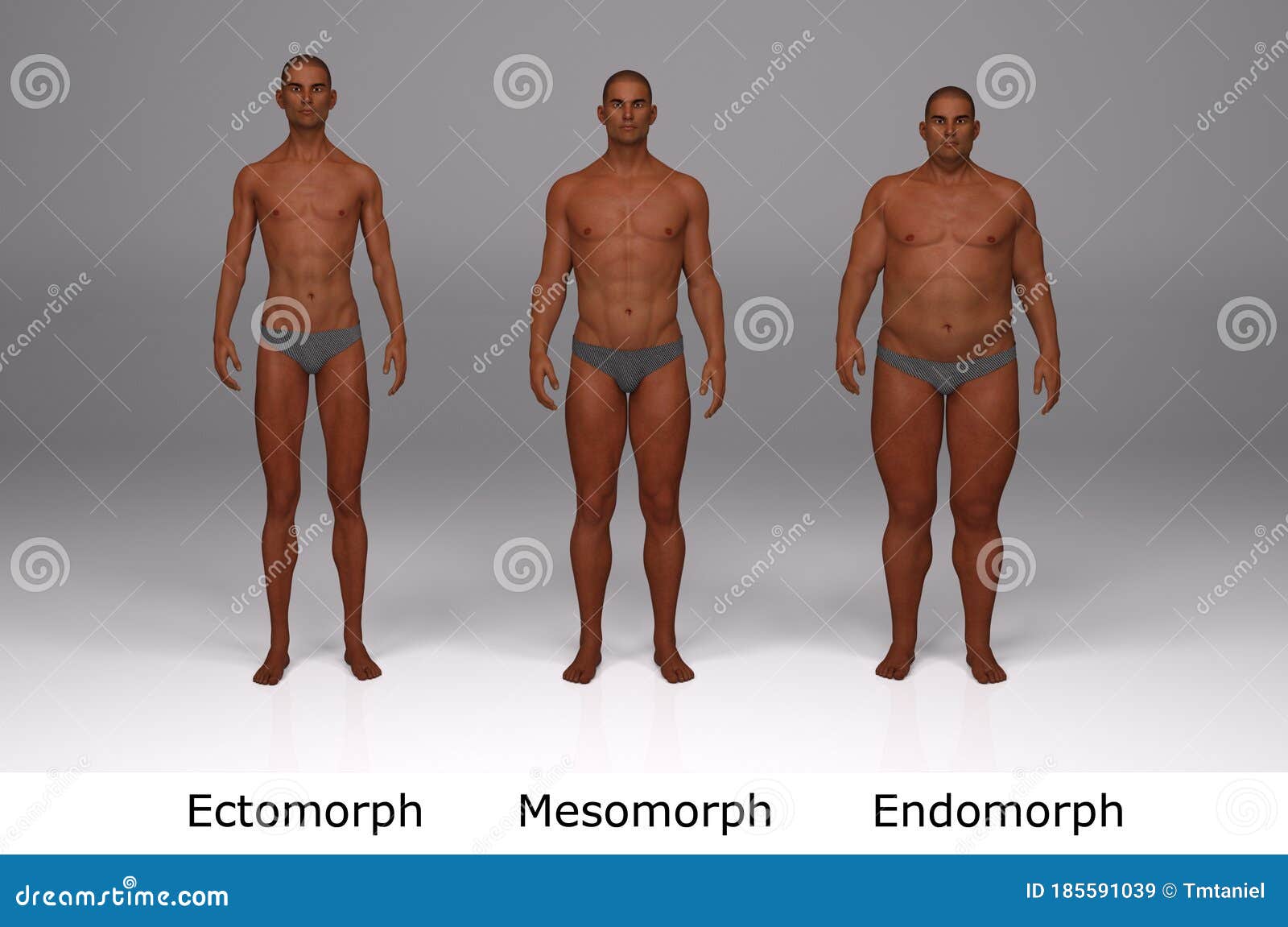 ectomorph how to cut bodybuilding