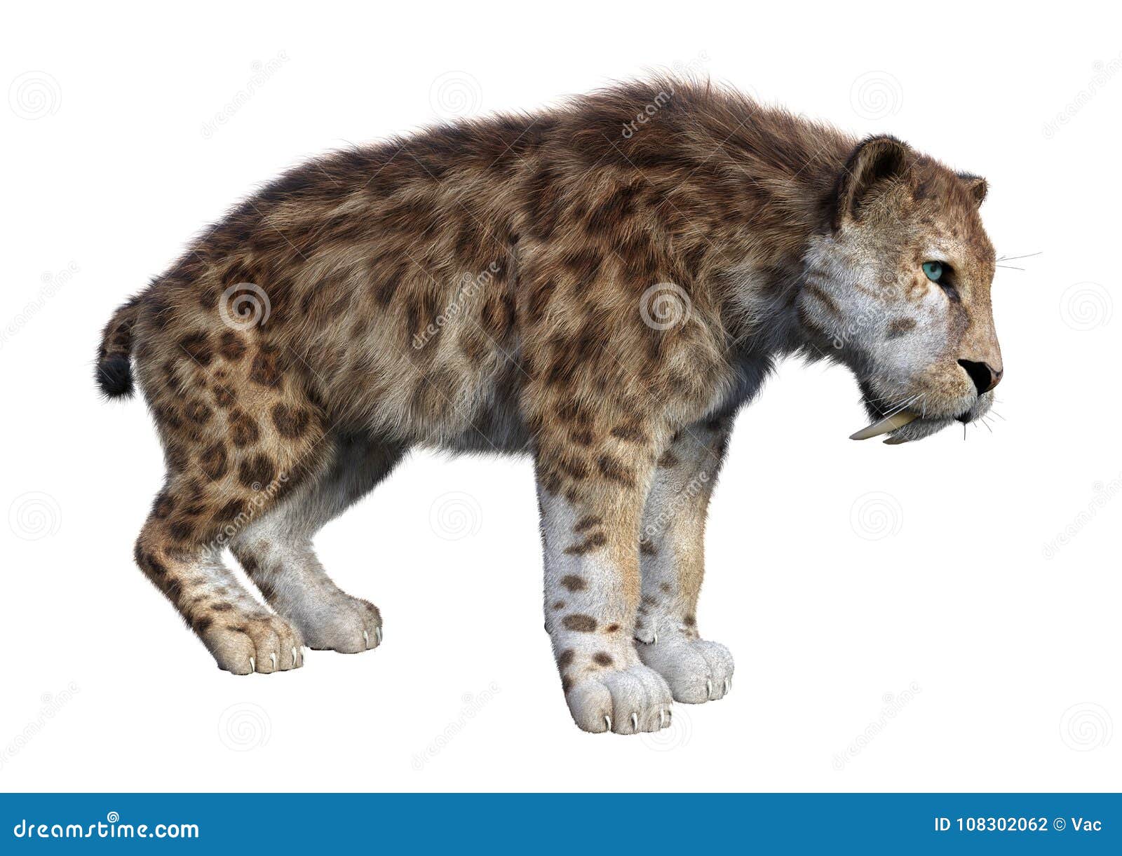 3d rendering sabertooth tiger on white
