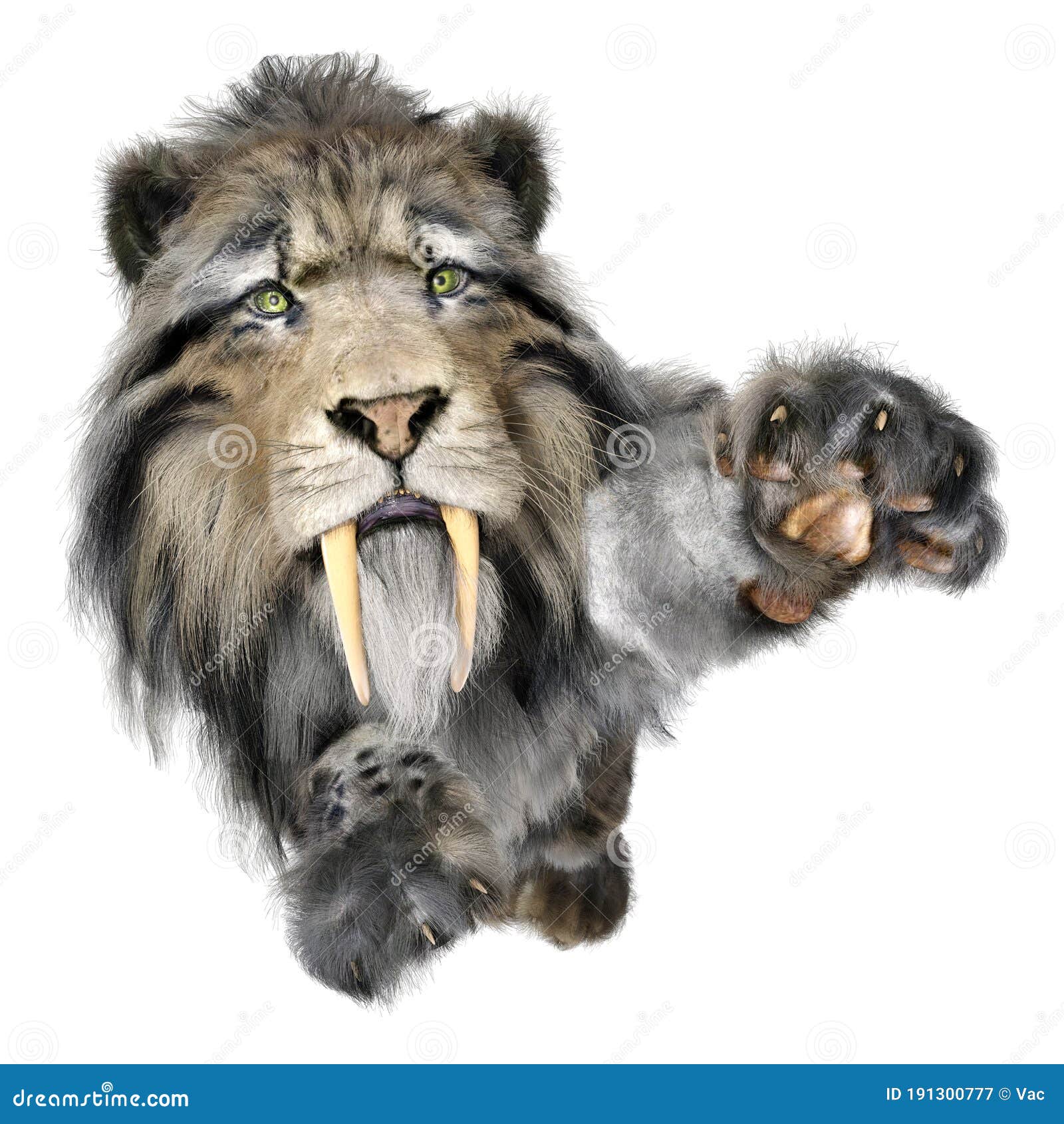3d rendering sabertooth tiger on white