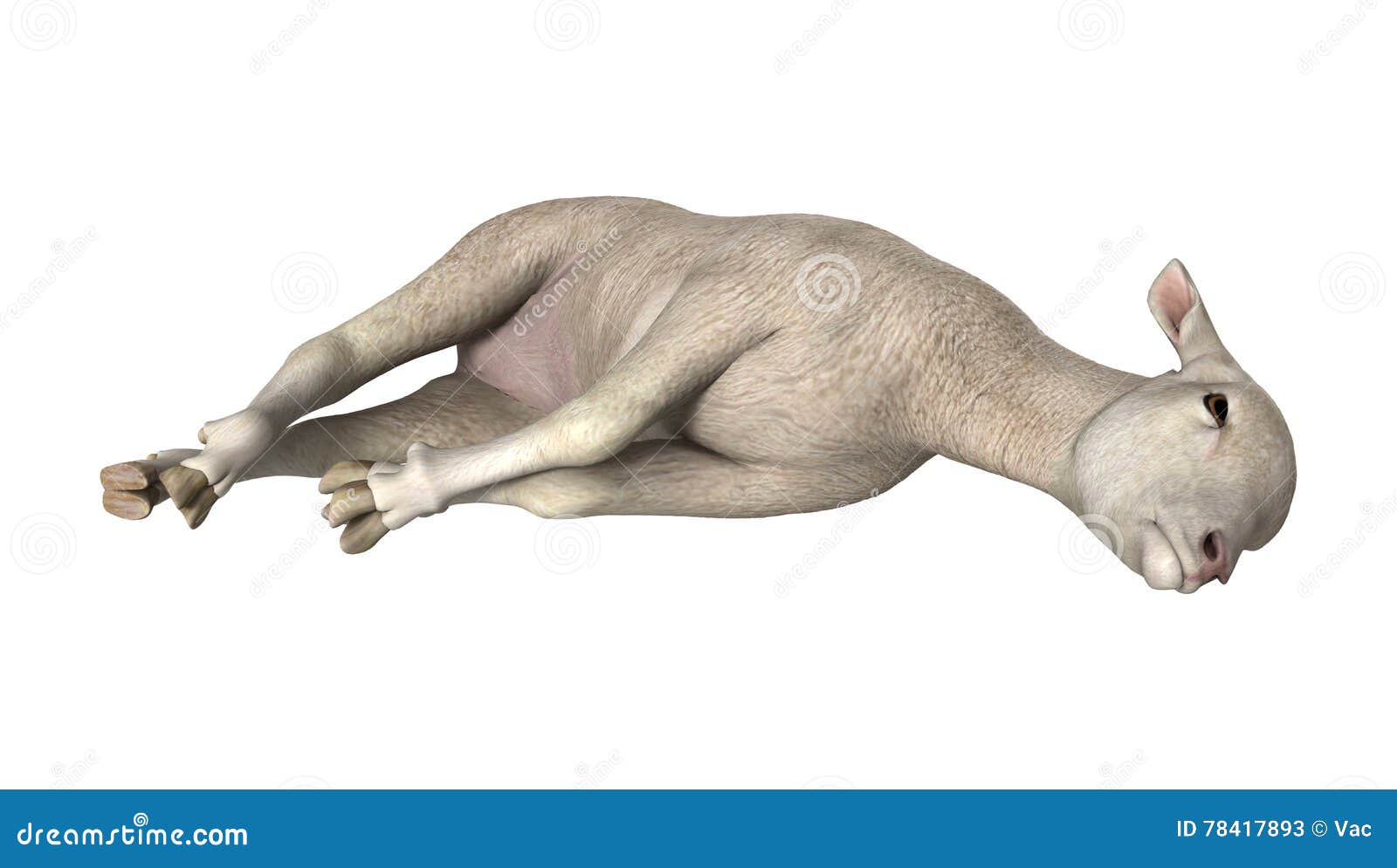 3D Rendering White Lamb on White Stock Illustration Illustration of