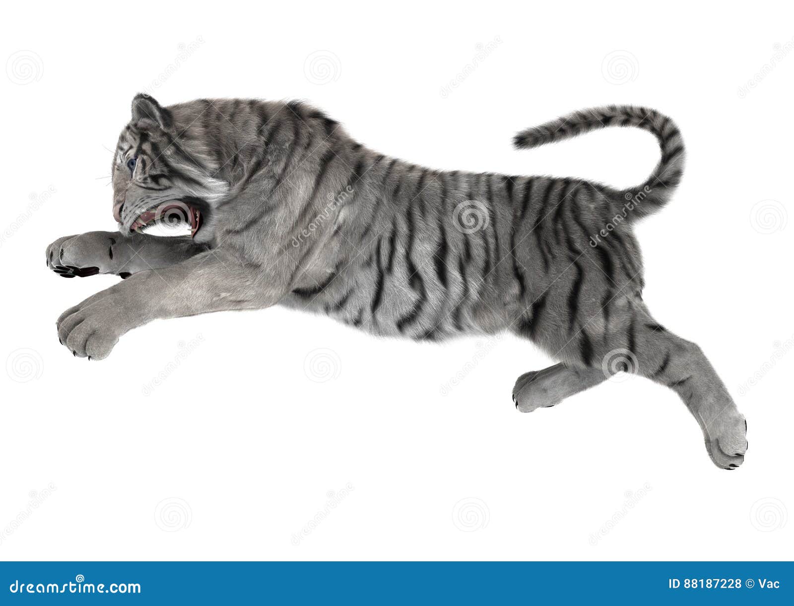 3D Rendering White Tiger on White Stock Illustration ...