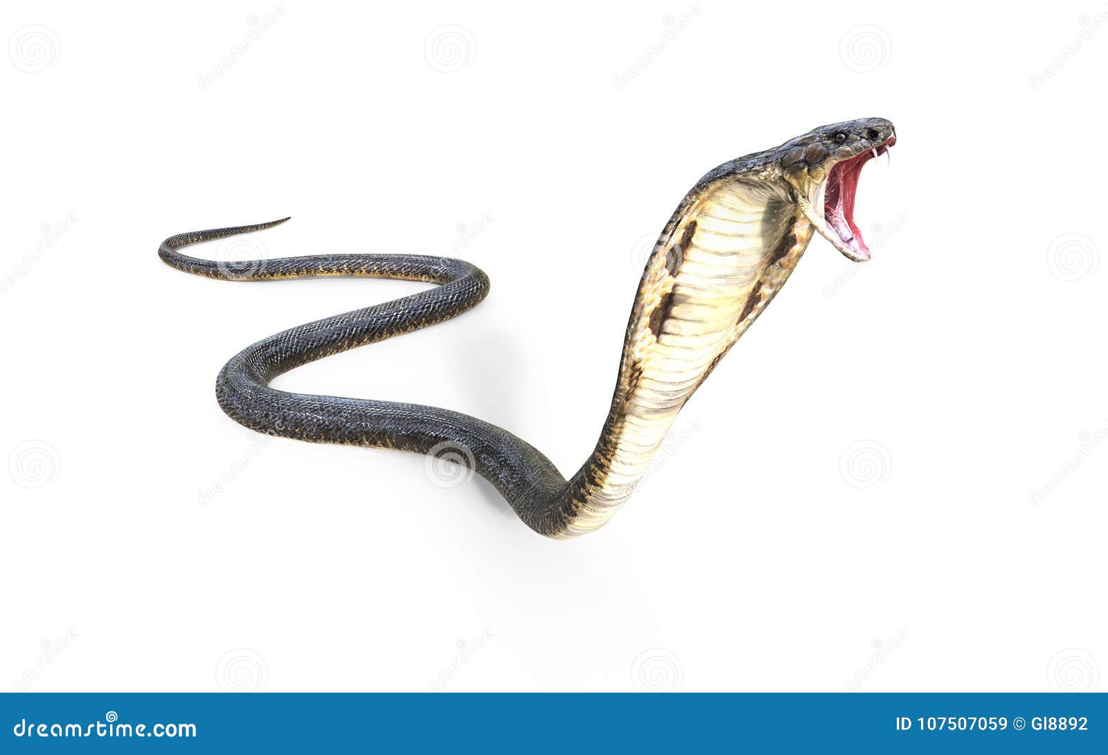 Cobra Da Serpente 3D Isolada Em Um Branco Ilustração Stock