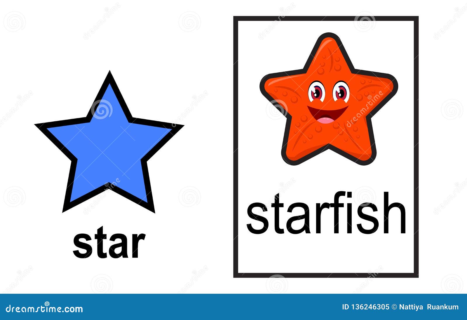 2d shape matching shape to real life object on white background vector