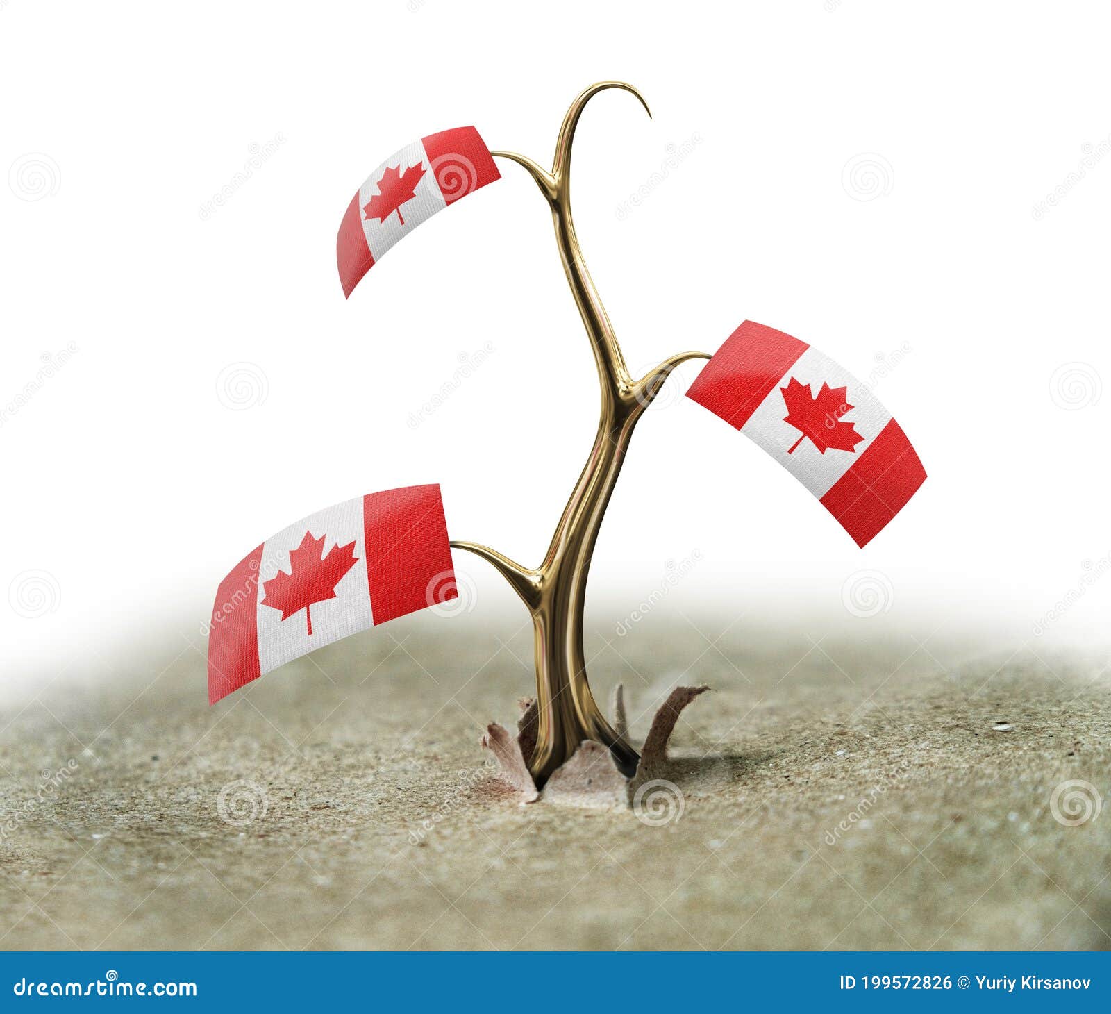 3d Sprout with Canadian Flag on White Stock Illustration Illustration