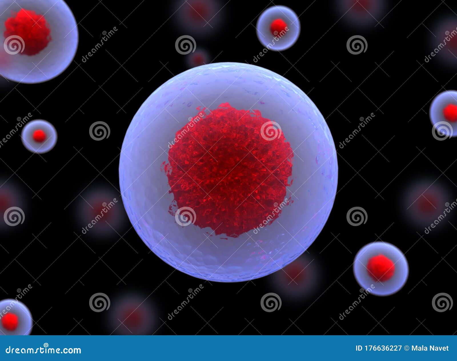 3d stem cell. large number of bactetia nucleolus, nucleus, 3d stem cell.