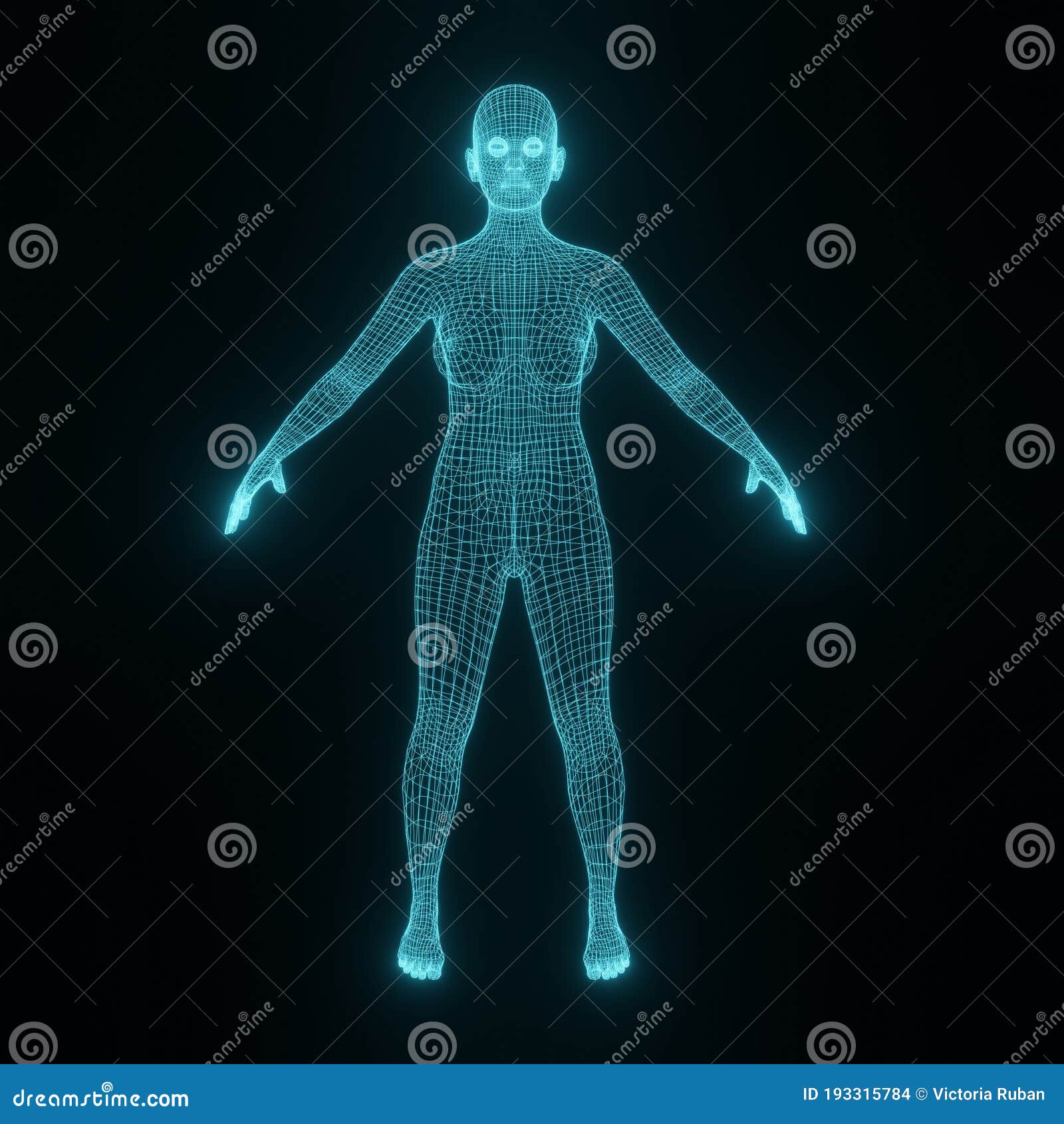 3D Wireframe Young Human Female Stock Illustration - Illustration of  advanced, intelligence: 193315784