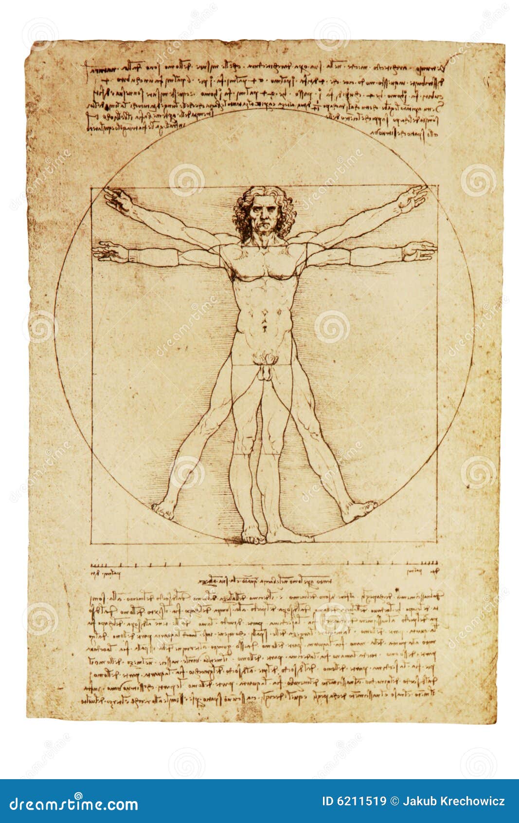 Da Vinci's Vitruvian Man Editorial Stock Image - Image: 6211519