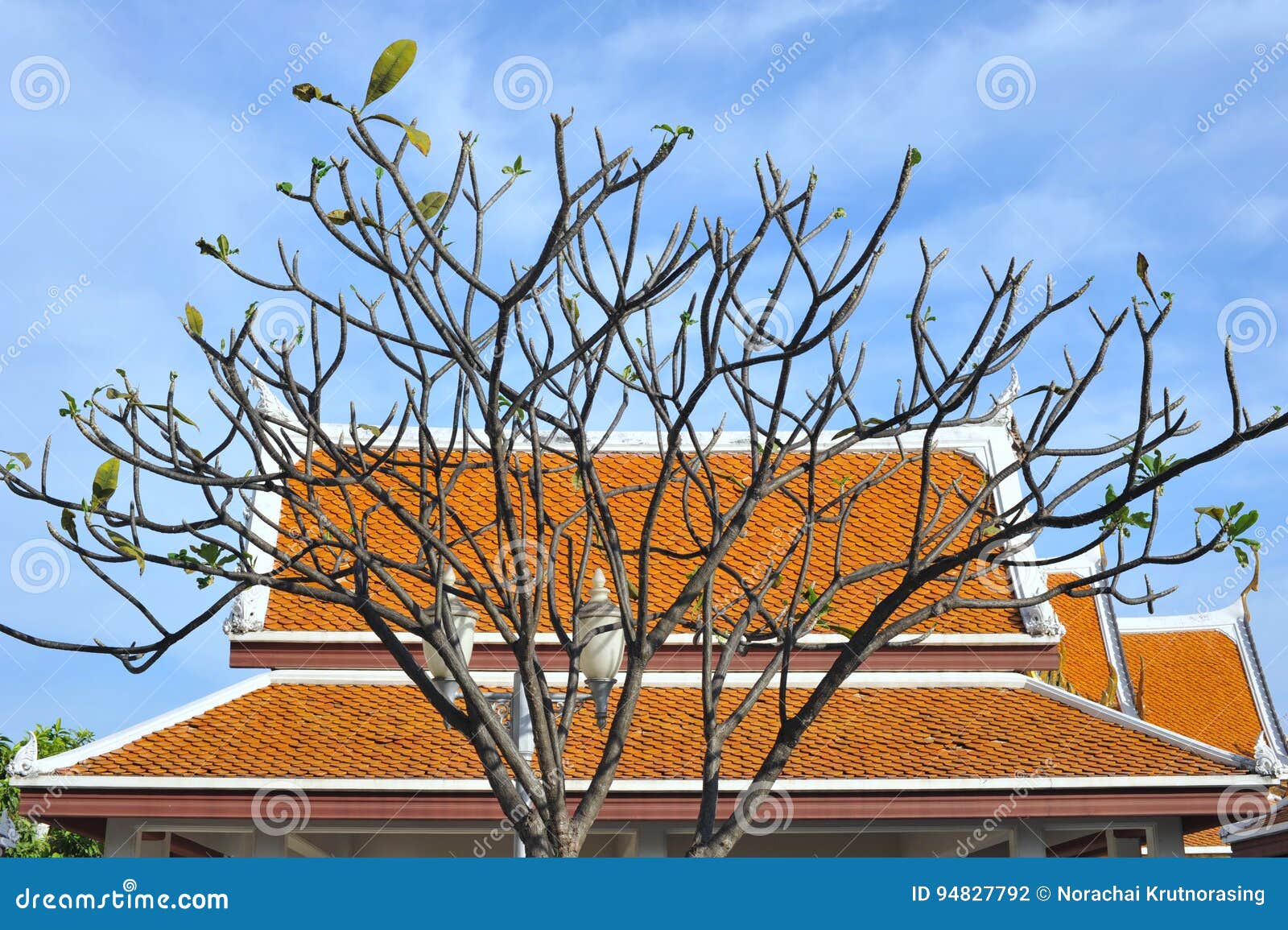 Spitze des orange Dachs Blauer Himmel