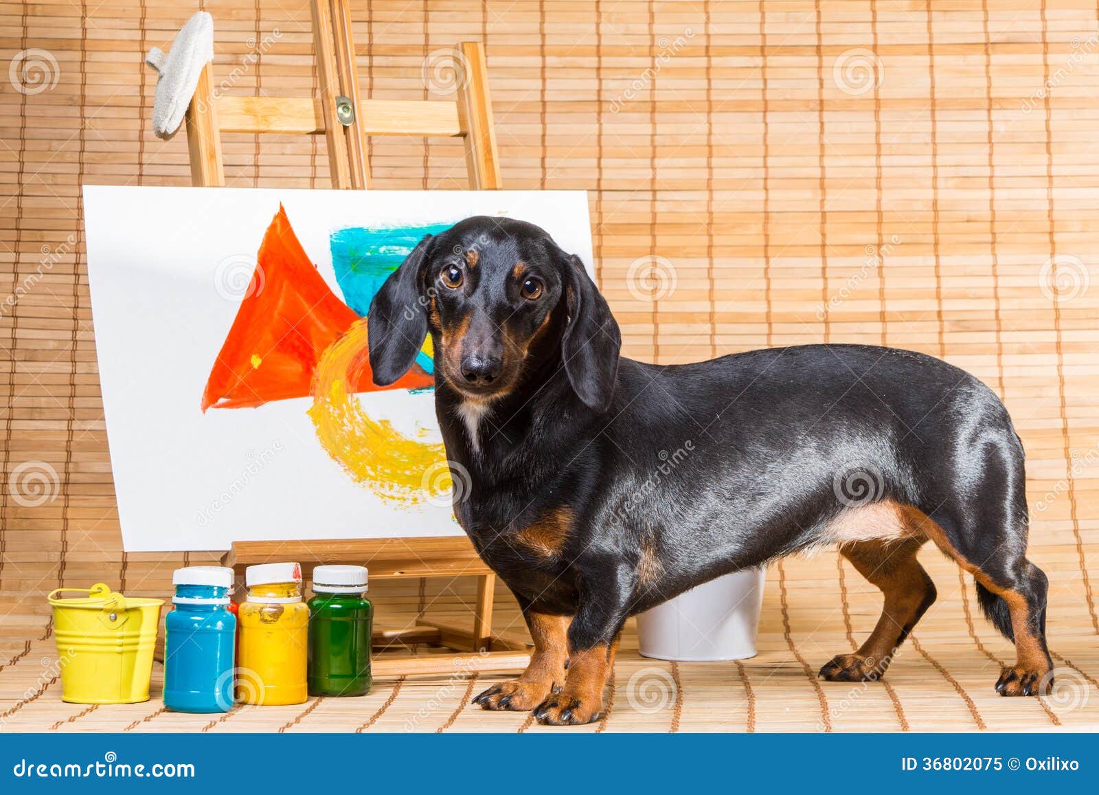 dachshund artist near easel with its masterpiece