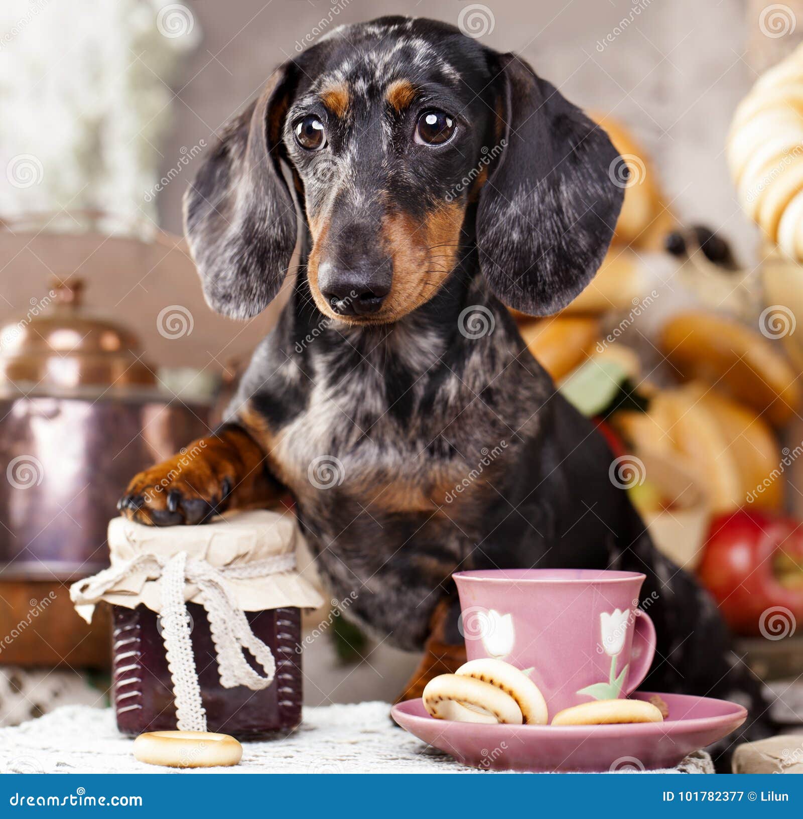 cup of tea dog