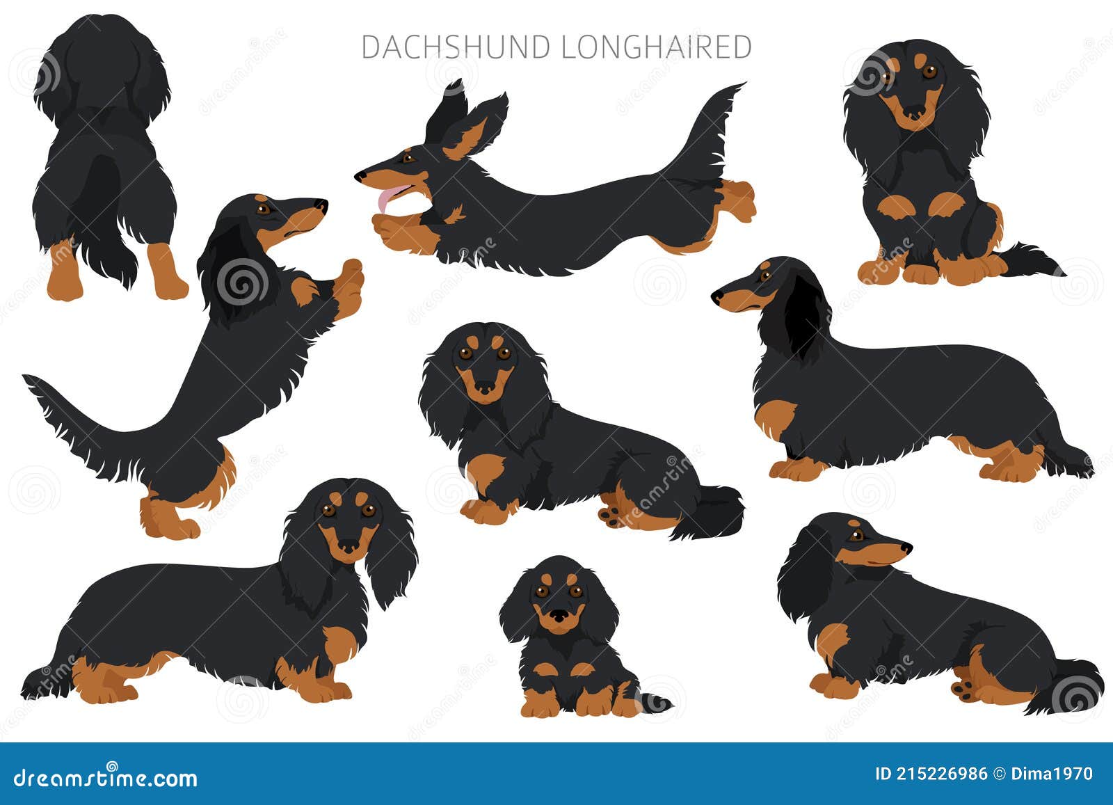 dach clipart