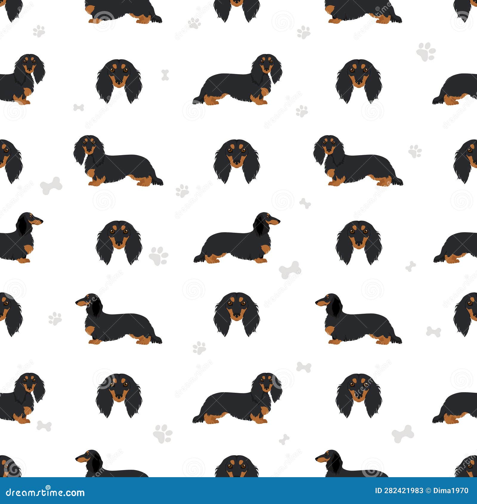 Dachshund Long Haired Seamless Pattern. Different Poses, Coat Colors