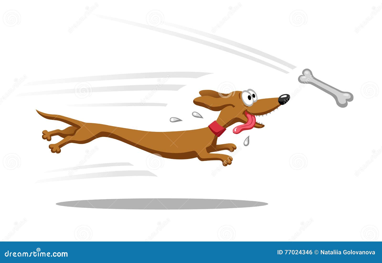 Running Dachshund Dog Cartoon Illustration Vector ...