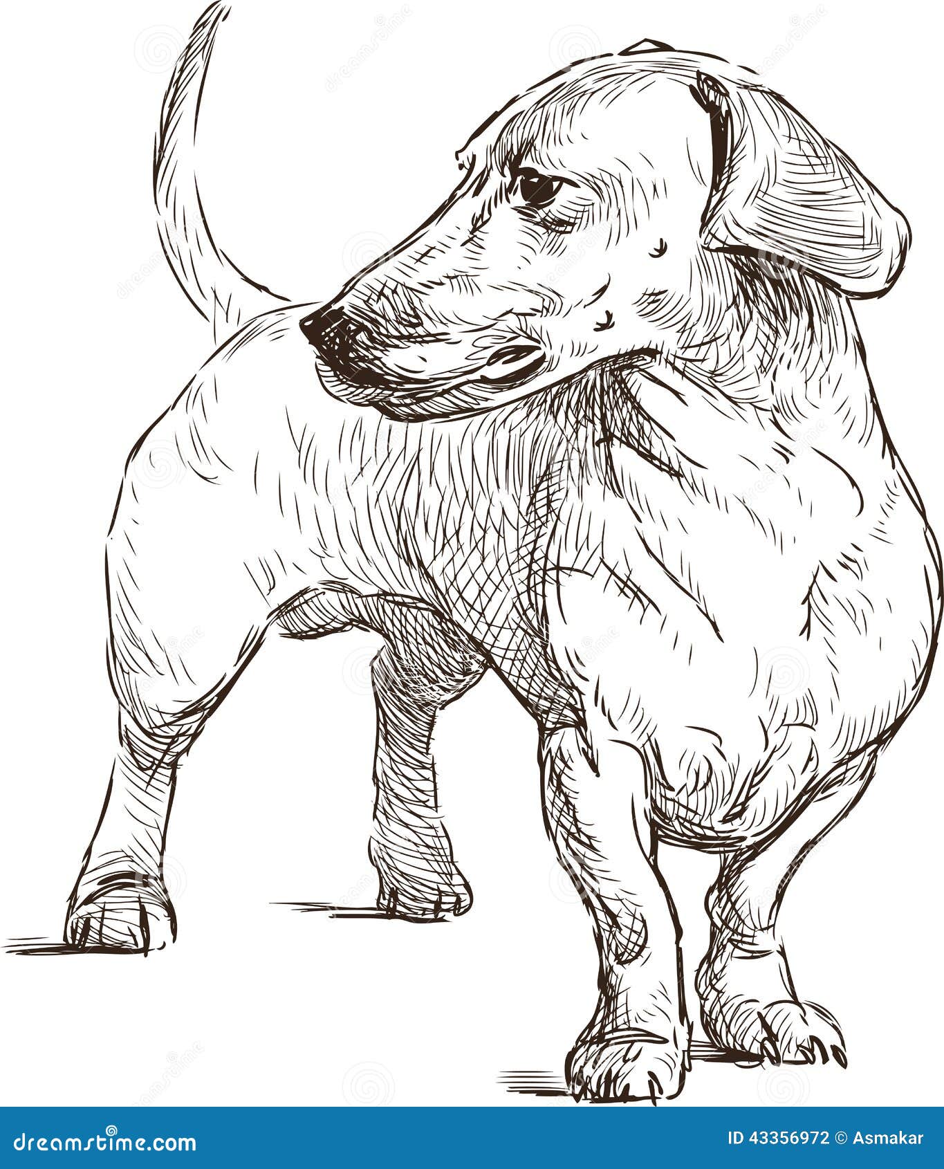 dachshund long hair coloring pages - photo #23