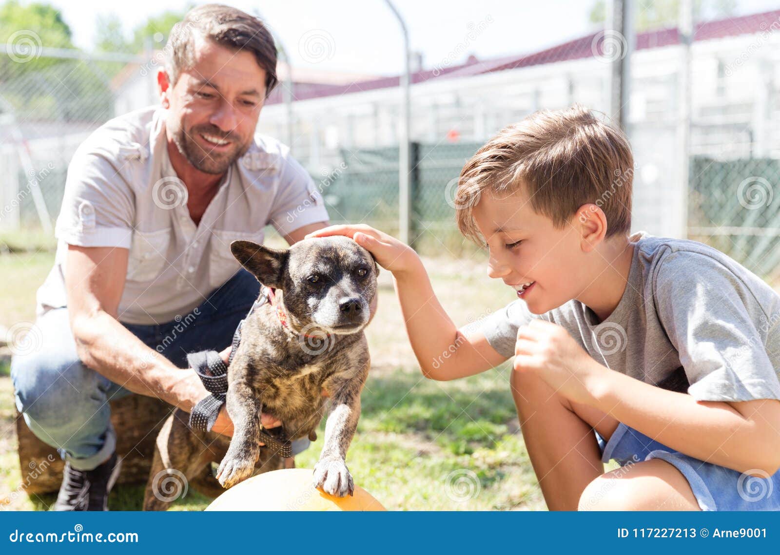 dad and his son taking care of abandoned dog in animal shelter