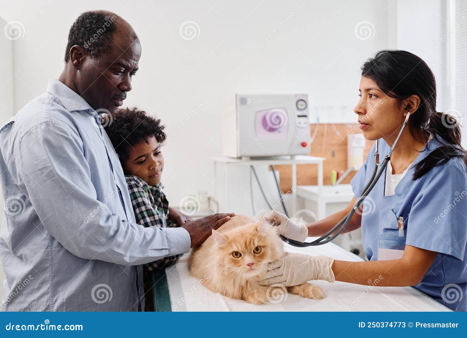 Dad and Son Comforting Cat at Vets Stock Image Image of grandson