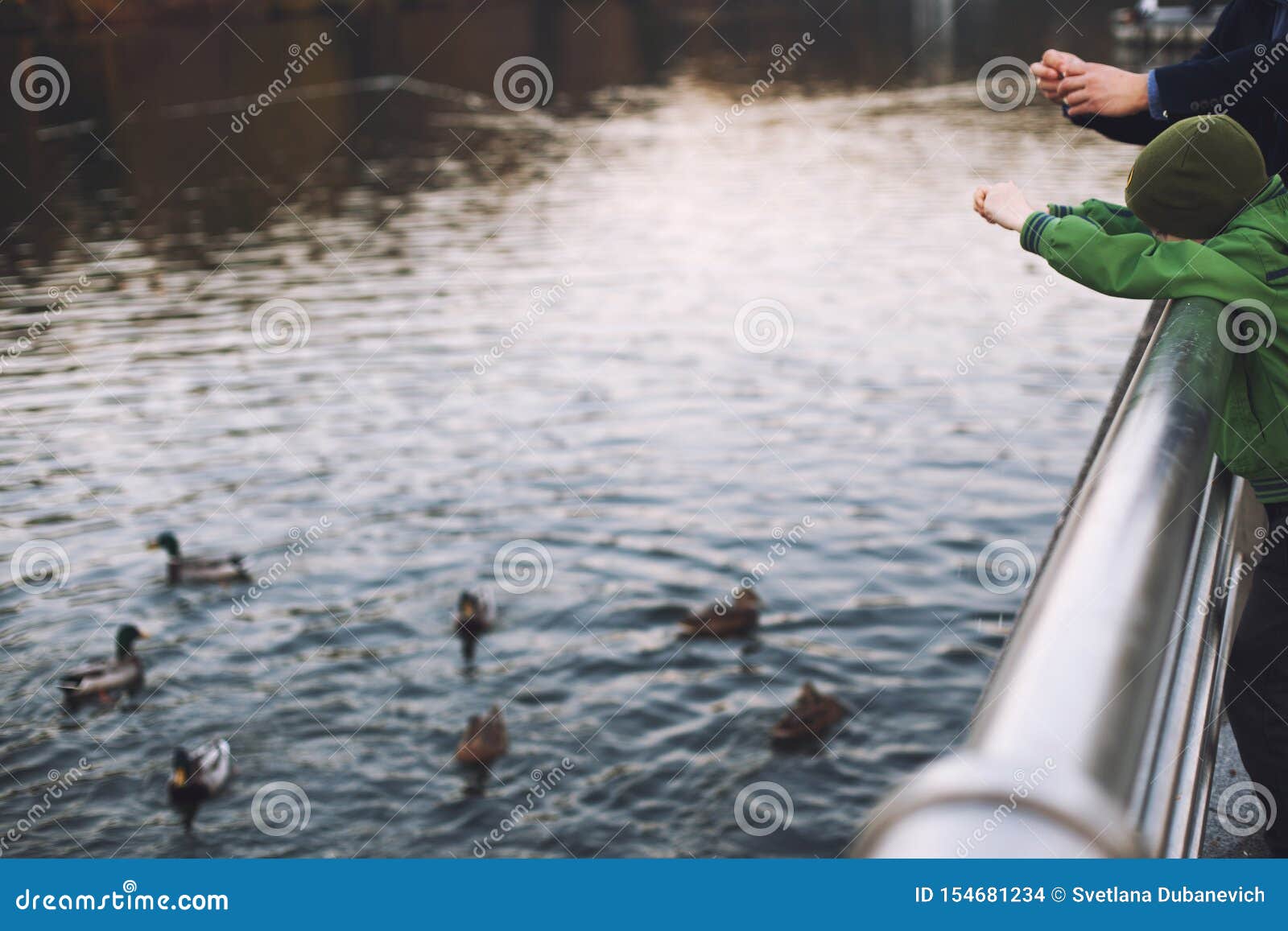 Do Not Feed Ducks Sign Royalty-Free Stock Image | CartoonDealer.com