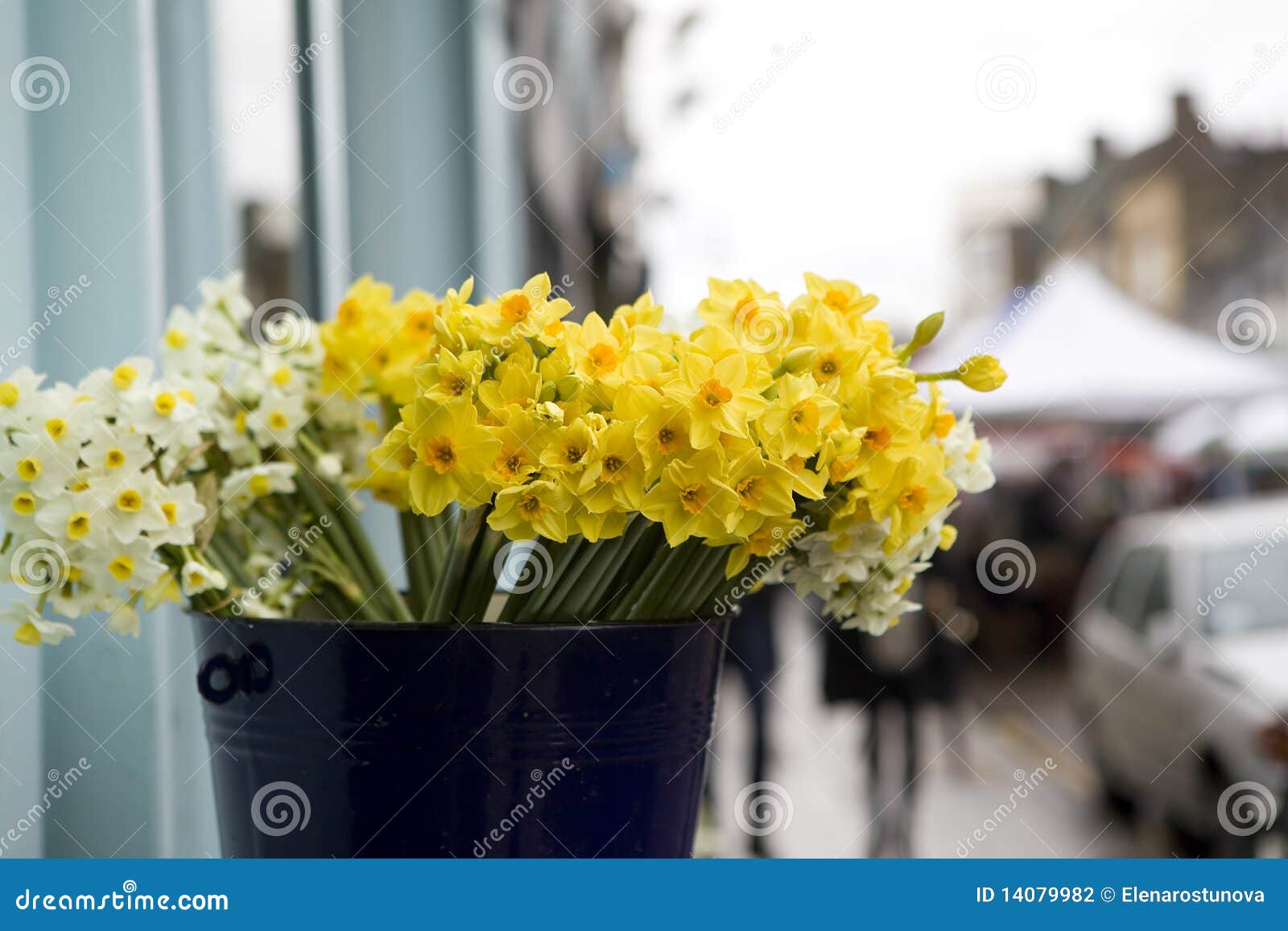 Daffodil in basket stock photo. Image of bouquet, colored 14079982
