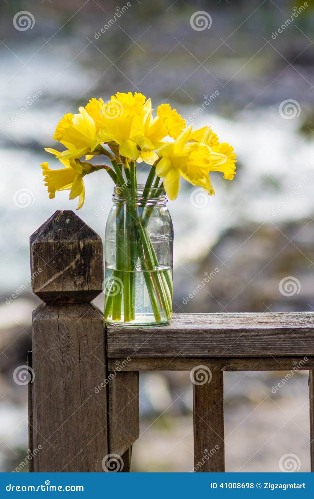 Daffodil flowers in a jar stock photo. Image of blossom 41008698