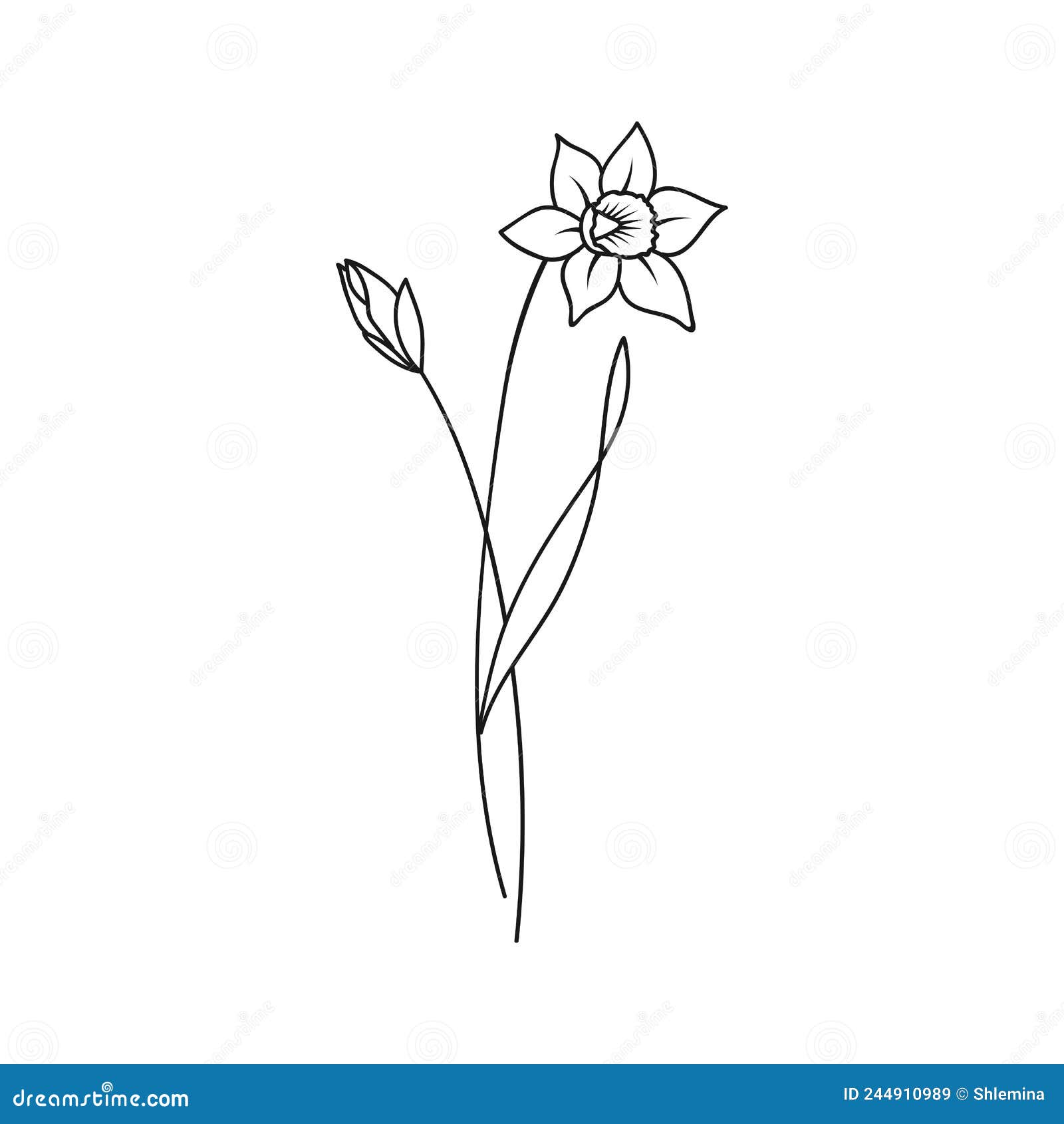 30 December Birth Flower Tattoos Narcissus Flower  100 Tattoos