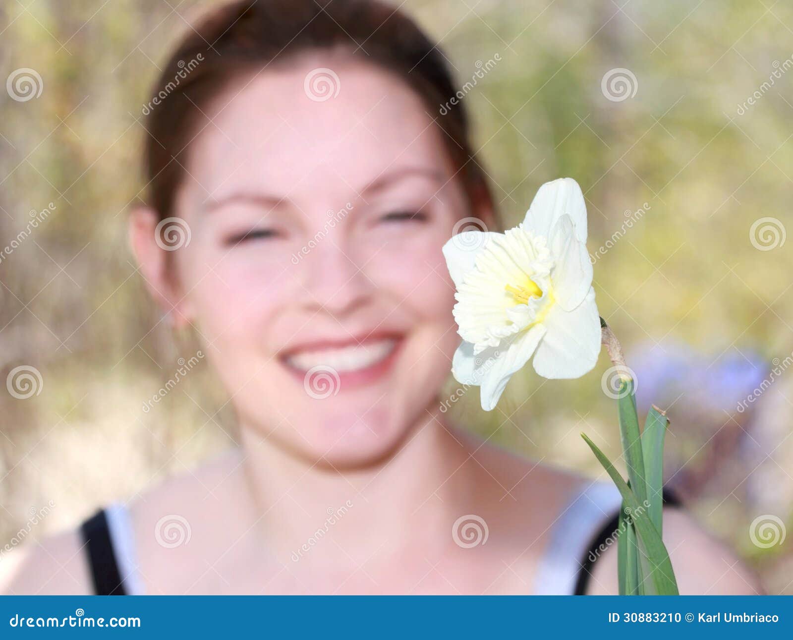 Daffodil stock photo. Image of beauty, daffodil, expression 30883210