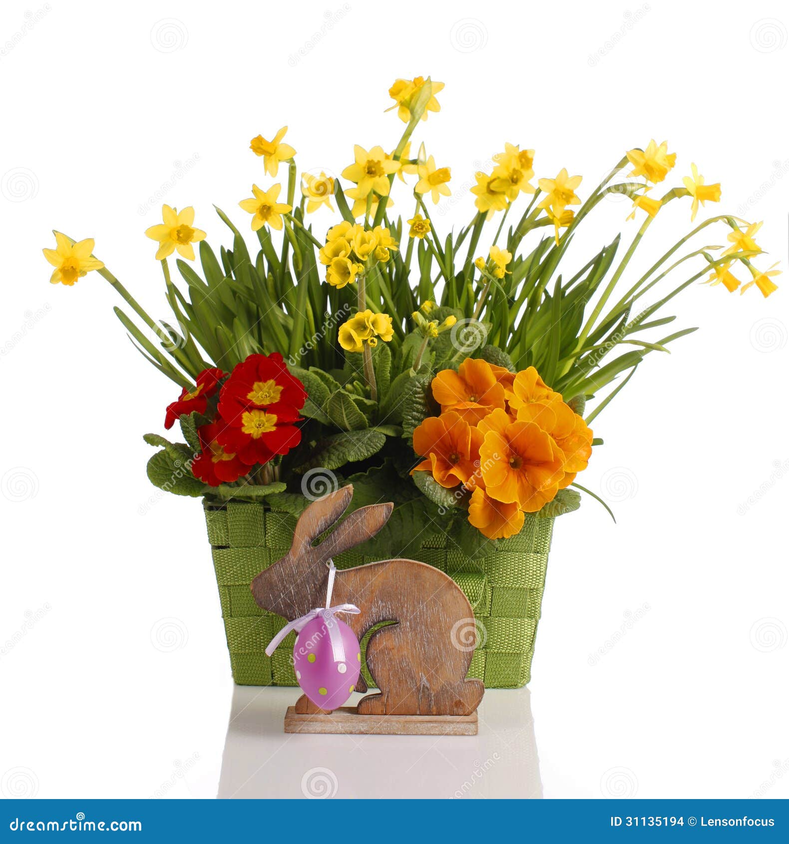 Daffodils in basket stock photo. Image of flowers, green 31135194