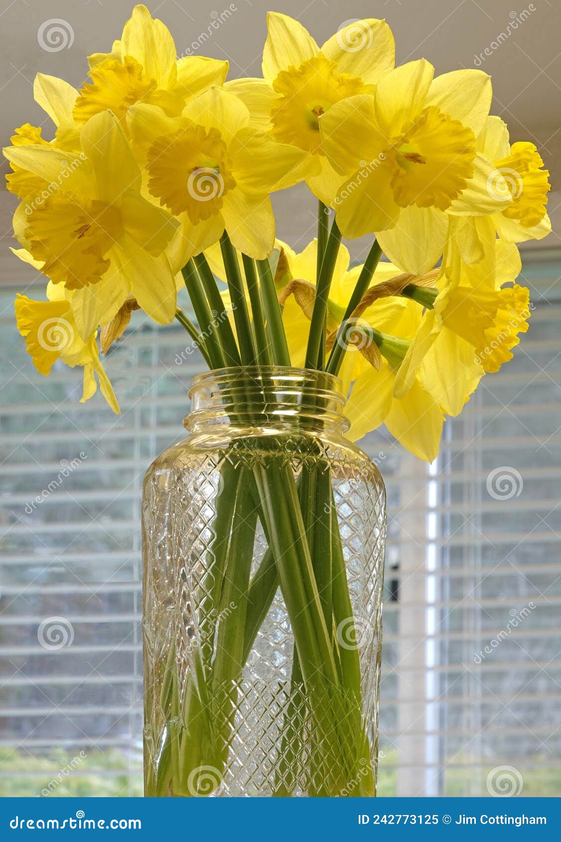 Daffodils Bouquet Spring is Here Stock Image Image of springs