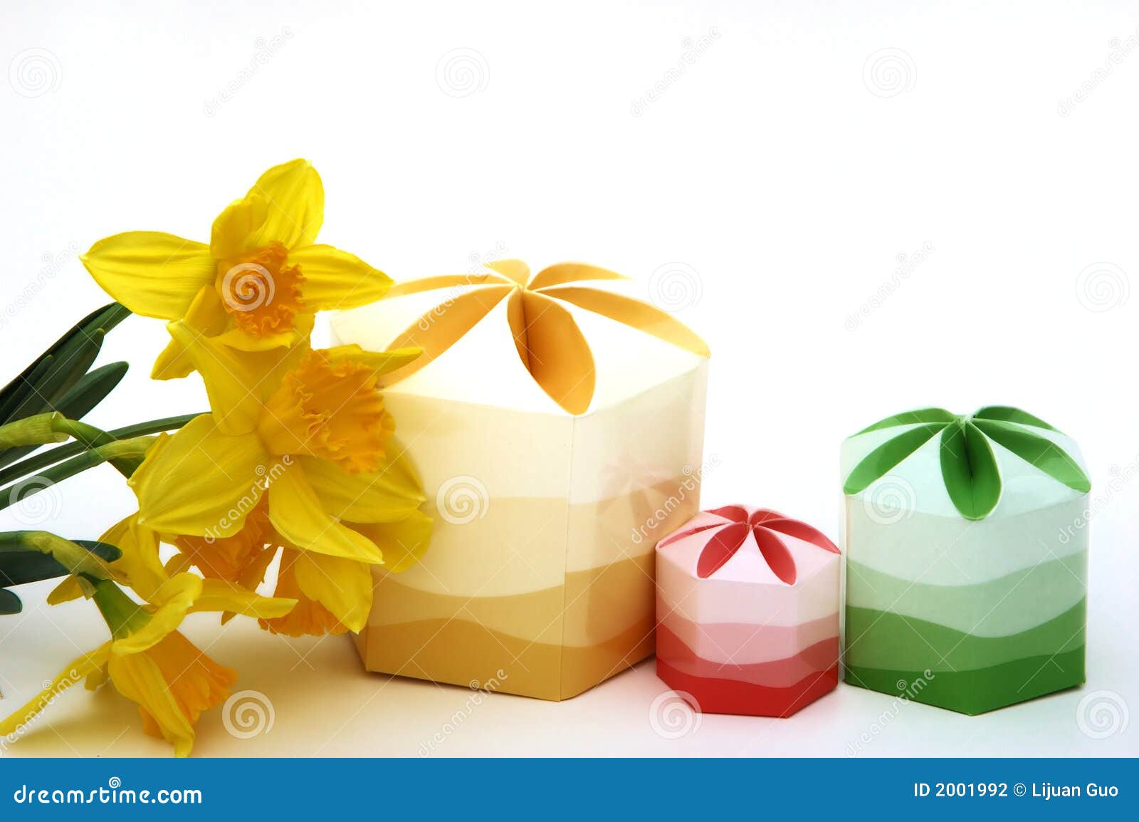 Daffodils and gift boxes stock photo. Image of daffodil 2001992