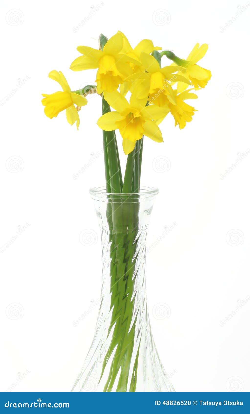 Daffodils in a glass vase stock photo. Image of yellow 48826520