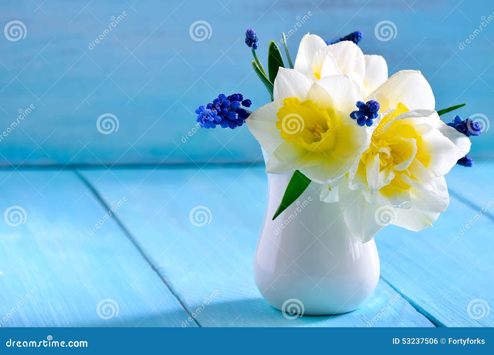 Daffodils in a jug stock photo. Image of nature, space 53237506