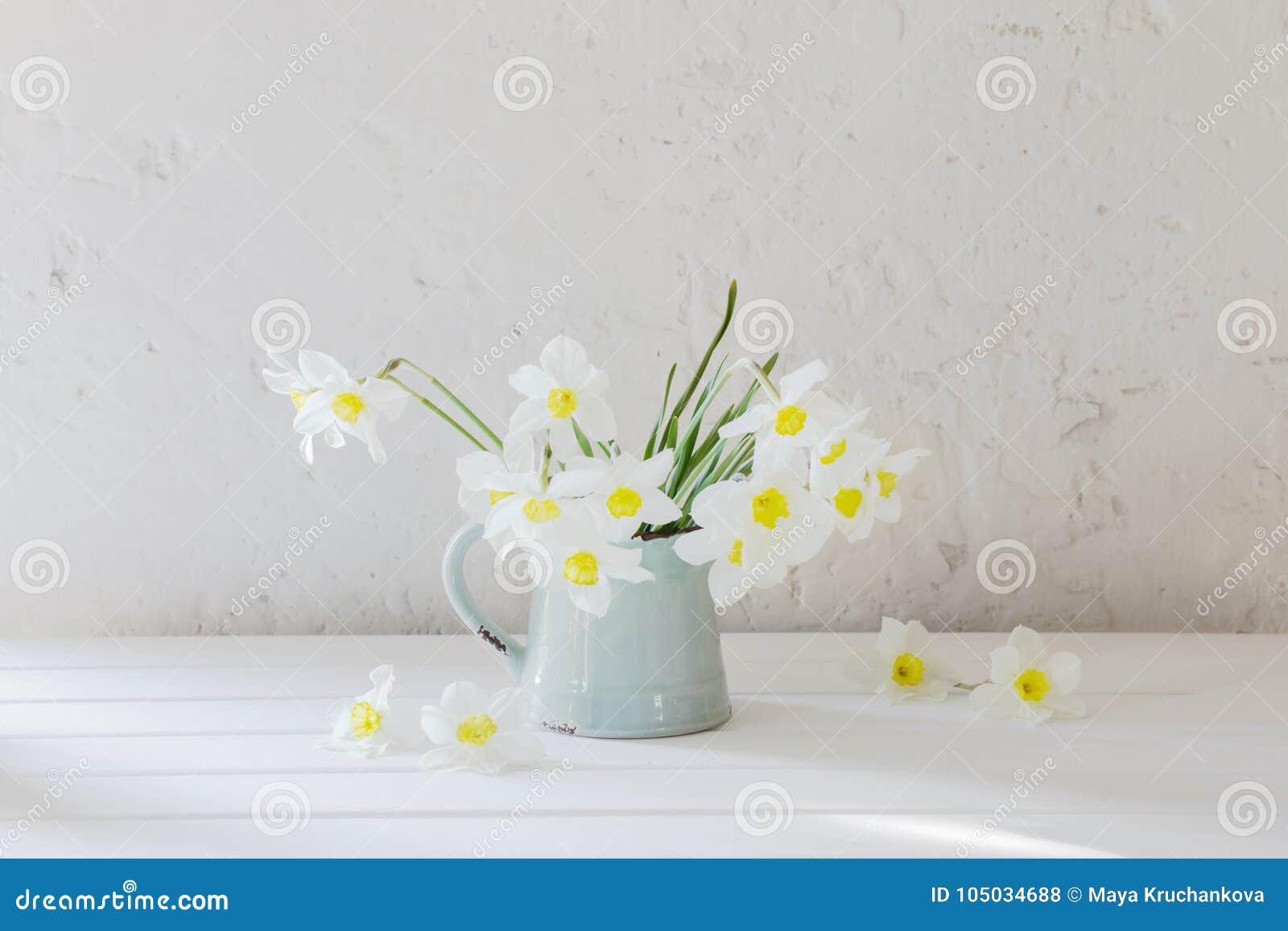 Daffodils in Jug on White Background Stock Photo Image of vase